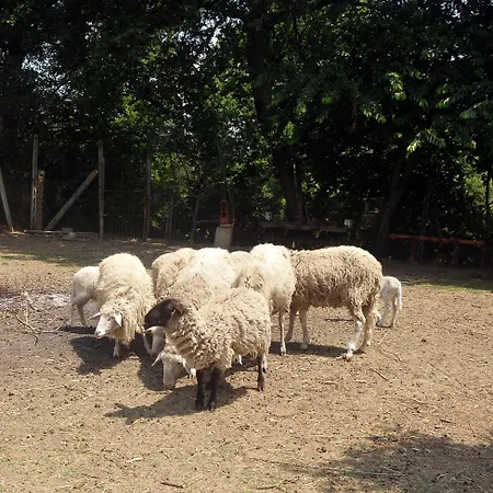 Casale Le Capanne Villa *