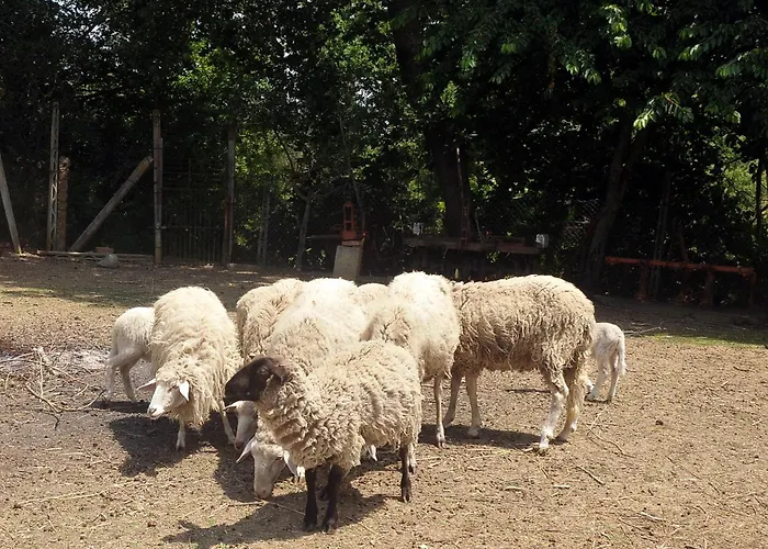 Casale Le Capanne Villa *