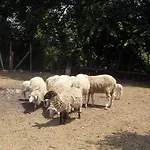 Casale Le Capanne Вилла *